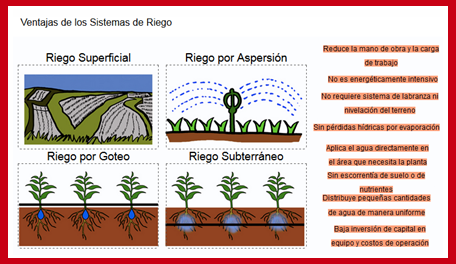 Ventajas Y Desventajas De Sistemas De Riego - Herramientas RUVIVAL